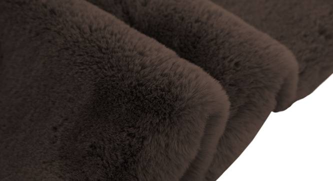Naya Brown Solid Natural Fiber 5x3 Ft Carpet (Chocolate) by Urban Ladder - Front View Design 1 - 638617