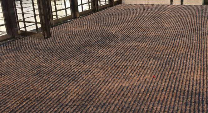 Wayne Beige Solid Fabric 19x4 Ft Carpet (Camel) by Urban Ladder - Design 1 Side View - 638811