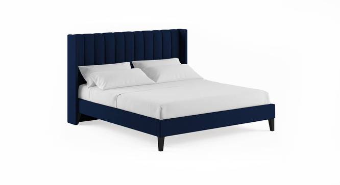 Tacy Solid Wood Queen Non-Storage Normal Bed in Blue colour (Queen Bed Size, Polished Finish) by Urban Ladder - Front View Design 1 - 644218