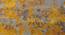 Viviana Gold Abstract Natural Fiber 15x10 inches Carpet (Gold) by Urban Ladder - Rear View Design 1 - 646183