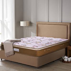Bedroom Furniture In Karur Design Eurovisco Pocket Spring Single Size Mattress (Single Mattress Type, 78 x 36 in (Standard) Mattress Size, 9 in Mattress Thickness (in Inches))