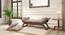 Saachi Solid Wood Day Bed (Ash Grey, Mango Walnut Finish) by Urban Ladder - Front View Design 1 - 648261