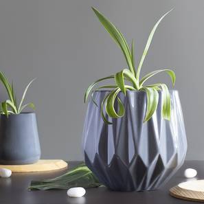 Planters Design Grey Ceramic Planter