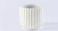 Robert Ivory Ceramic Planter (Ivory) by Urban Ladder - Front View Design 1 - 648809