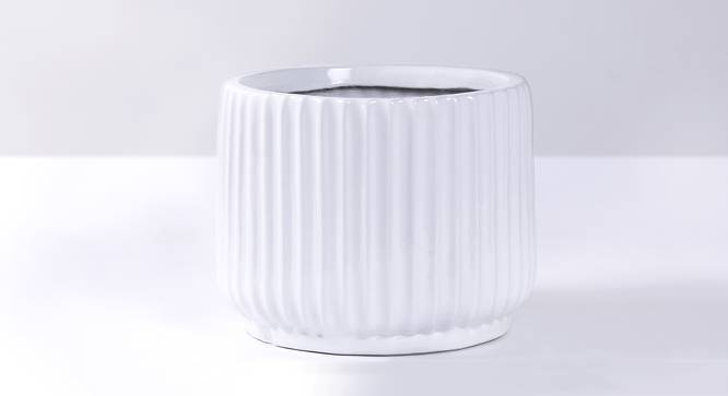 Ruby White Ceramic Planter (White) by Urban Ladder - Front View Design 1 - 648998