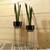 Planters