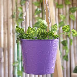 Planters Design Purple Metal Planter