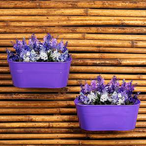 Planters Design Purple Metal Planter