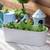 Planters