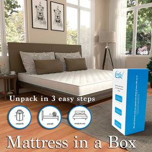 Single Bed Mattress Design Club Dual Side Usable Natural Latex Single Size Mattress (White, Single Mattress Type, 5 in Mattress Thickness (in Inches), 72 x 30 in Mattress Size)