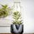 Planters