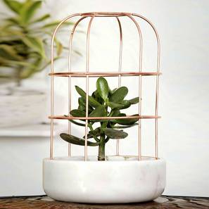 White Marble Planter