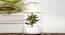 Tyler White Marble Planter (White) by Urban Ladder - Front View Design 1 - 652299