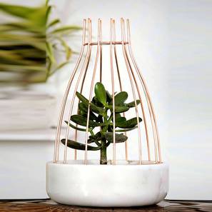 White Marble Planter