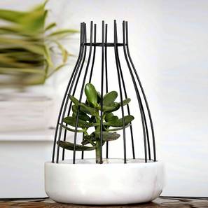 White Marble Planter-image-5