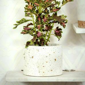 White Marble Planter-image-13