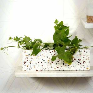 White Marble Planter