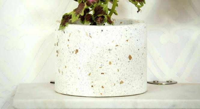 Brenda White Marble Planter (White) by Urban Ladder - Front View Design 1 - 654944