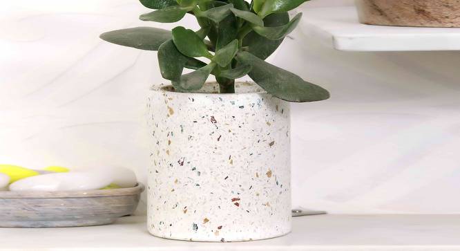 Bryce White Marble Planter (White) by Urban Ladder - Front View Design 1 - 654945