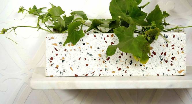 Catrice White Marble Planter (White) by Urban Ladder - Front View Design 1 - 654948