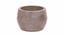 Dana Grey Marble Planter (Grey) by Urban Ladder - Design 1 Side View - 654980