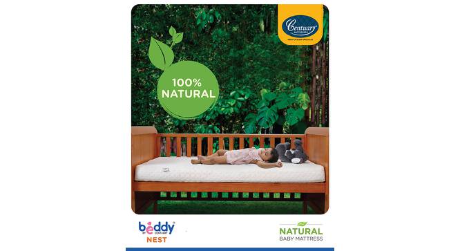 Beddy Nest Natural Mattress (33 x 18 in Mattress Size, 2 in Mattress Thickness (in Inches)) by Urban Ladder - Front View Design 1 - 656550