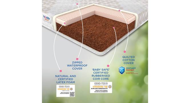 Beddy Nest Single Kids/Bunk Bed Natural Coir Latex Mattress with Free Waterproof Protector (4 in Mattress Thickness (in Inches), 72 x 36 in Mattress Size) by Urban Ladder - Cross View Design 1 - 656569