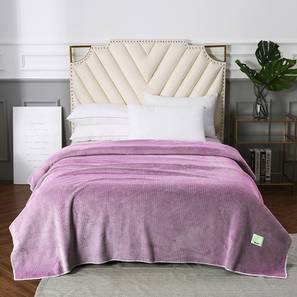 Blankets Design Purple Solids GSM Velvet Size Blanket