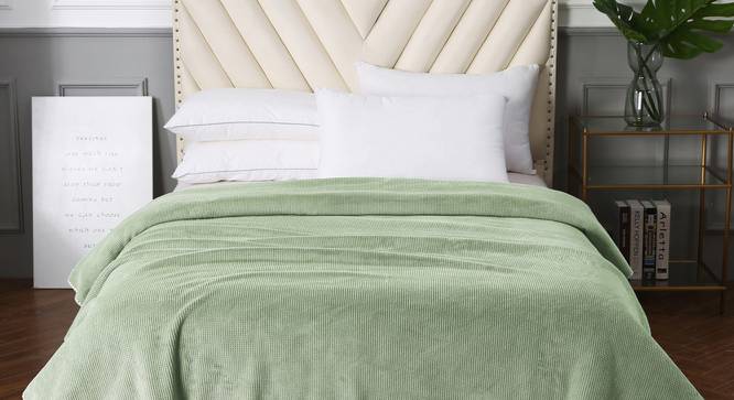 Raina Green Solid 220 GSM Synthetic Fiber Double Bed Blanket (Olive Green) by Urban Ladder - Front View Design 1 - 656829