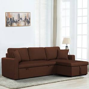 Sofa Cum Bed In Nagpur Design Doozy 3 Seater Sofa cum Bed In Brown Colour