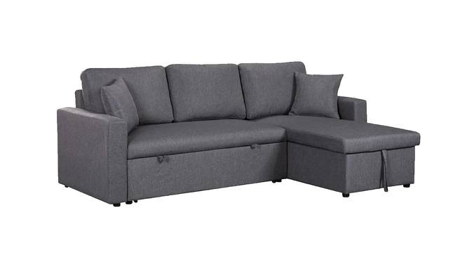 Doozy 3 Seater Sofa cum Bed with Storage (Grey) by Urban Ladder - Cross View Design 1 - 657297