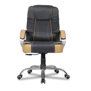 Study In Muzaffarnagar Design Adan Leatherette Study Chair in Black Colour