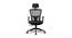Ergonomic Net Swivel Study Chair in Black Colour (Black) by Urban Ladder - Front View Design 1 - 658257