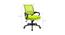 Task Net Swivel Study Chair in Green Colour (Green) by Urban Ladder - Design 1 Dimension - 658264
