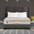 Backmaster mattress series lp