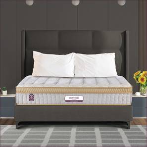Mattresses Design Backmaster Orthopedic Crystal Cool Gel King Size Memory Foam Mattress (King Mattress Type, 8 in Mattress Thickness (in Inches), 84 x 72 in Mattress Size)
