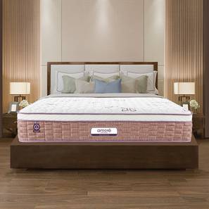 Super Deals Mattress Design Reboot Eurotop Pocket Spring & H R Foam King Size Mattress (King Mattress Type, 78 x 72 in (Standard) Mattress Size, 6 in Mattress Thickness (in Inches))