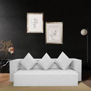 Sofa Cum Bed Design Flora 3 Seater Fold Out Sofa cum Bed In Light Grey Colour