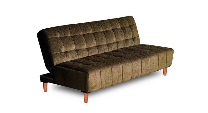 Briar 4 Seater Wooden Sofa cum Bed (Green) by Urban Ladder - Front View Design 1 - 664639