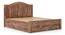 Ballito Solid Wood Box Storage Bed (Teak Finish, Queen Bed Size) by Urban Ladder - Close View - 