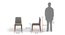 Galatea Dining Chair - Set Of 2 (Teak Finish, Grey) by Urban Ladder - Design 1 Dimension - 666407