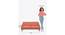 Nawab Couch - Savanna Green (Red) by Urban Ladder - Design 1 Dimension - 670583