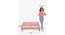 Nawab Couch - Savanna Green (Pink) by Urban Ladder - Design 1 Dimension - 670588