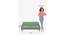 Nawab Couch - Savanna Green (Green) by Urban Ladder - Design 1 Dimension - 670590