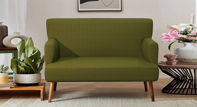 Nawab Couch - Savanna Green (Green) by Urban Ladder - Front View Design 1 - 670730