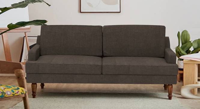 Nawab Couch - Savanna Green (Brown) by Urban Ladder - Front View Design 1 - 670738