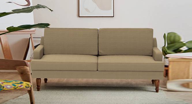 Nawab Couch - Savanna Green (Beige) by Urban Ladder - Front View Design 1 - 670739