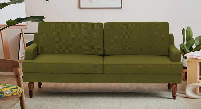 Nawab Couch - Savanna Green (Green) by Urban Ladder - Front View Design 1 - 670743