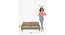 Nawab Couch - Savanna Green (Beige) by Urban Ladder - Design 1 Dimension - 670750