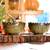 Dinnerware